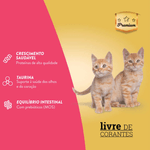 7898256301681---gatos-filhotes---foto-1
