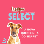 7898256302053---qiatre-select---porte-medio---foto-2