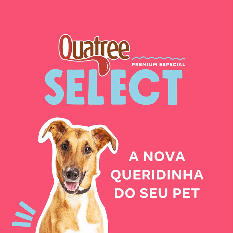 7898256302053---qiatre-select---porte-medio---foto-2