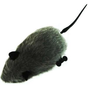 Ratinho Corda Grande