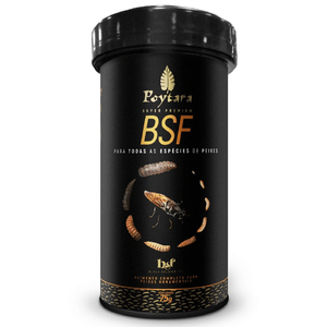 Poytara Bsf Black Soldier Fly Crisps 75Gr