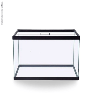 Pl Aquario Simples C/ Fita 50Cm