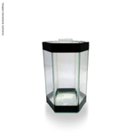 Pl-Beteira-Octagonal