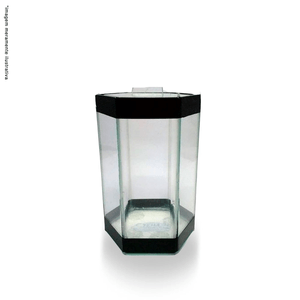 Pl Beteira Octagonal