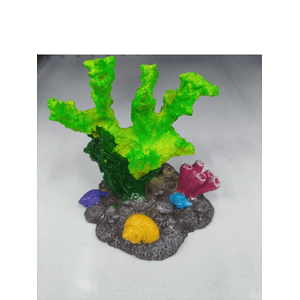 Me. Enfeite Acropora Grande