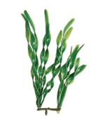 Planta-Plastica-Ww-Jungle-Val-6----15Cm