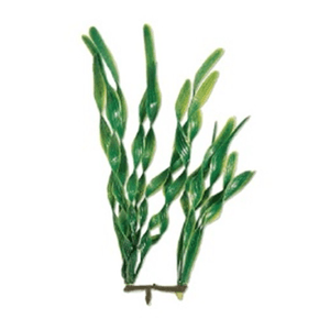 Planta Plástica Ww Jungle Val 6" - 15Cm