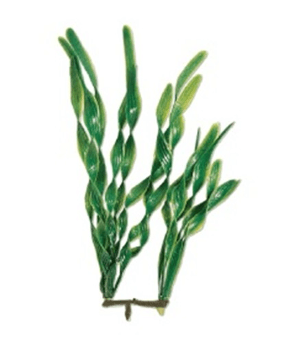 Planta-Plastica-Ww-Jungle-Val-6----15Cm