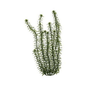 Planta Plástica Ww Anacharis 9" - 23Cm