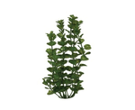Planta-Plastica-Ww-Moneywort-9----23Cm