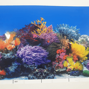 Aleas Painel 50Cm