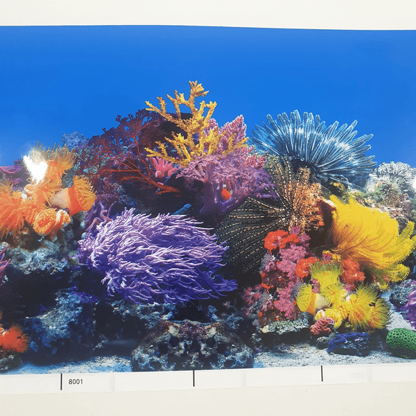 Aleas-Painel-50Cm