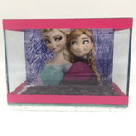 Pl-Aquario-20X10X14Cm-Personagem-Gelo