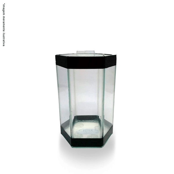 Pl-Beteira-Octagonal