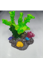 Me.-Enfeite-Acropora-Grande