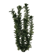 Planta-Plastica-Ww-Cabomba-9---23Cm