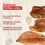 Orelha_Suina_Natural_Farm_para_Caes_-_3_Unidades_2729774_-4-