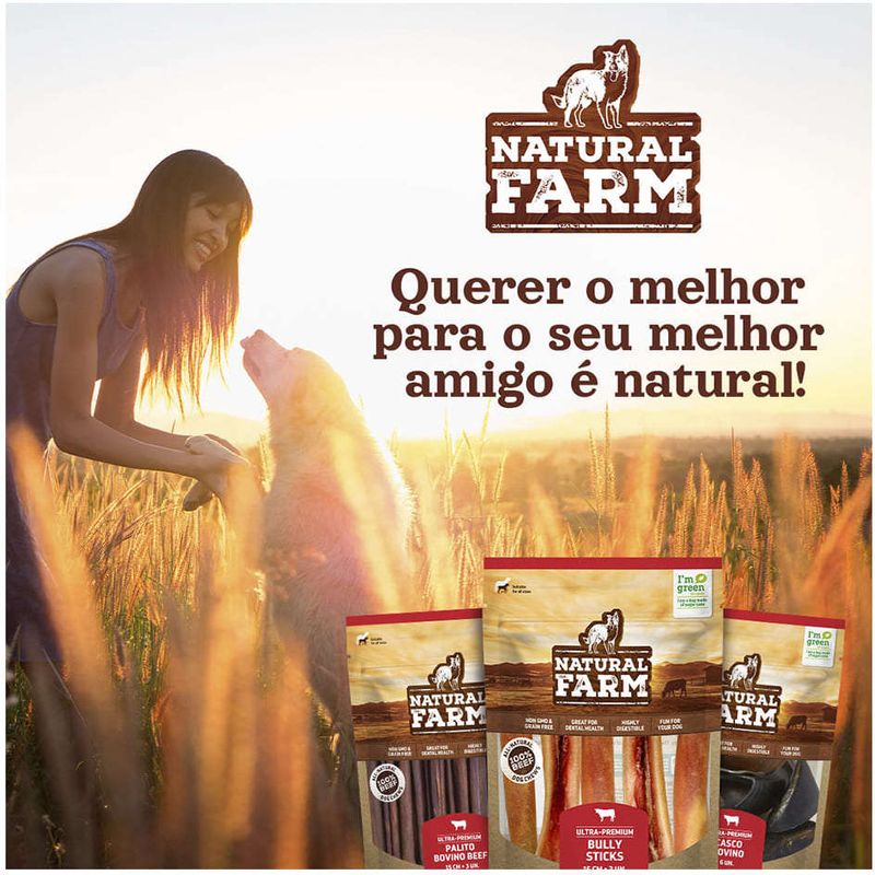 Orelha_Suina_Natural_Farm_para_Caes_-_3_Unidades_2729774_-6-