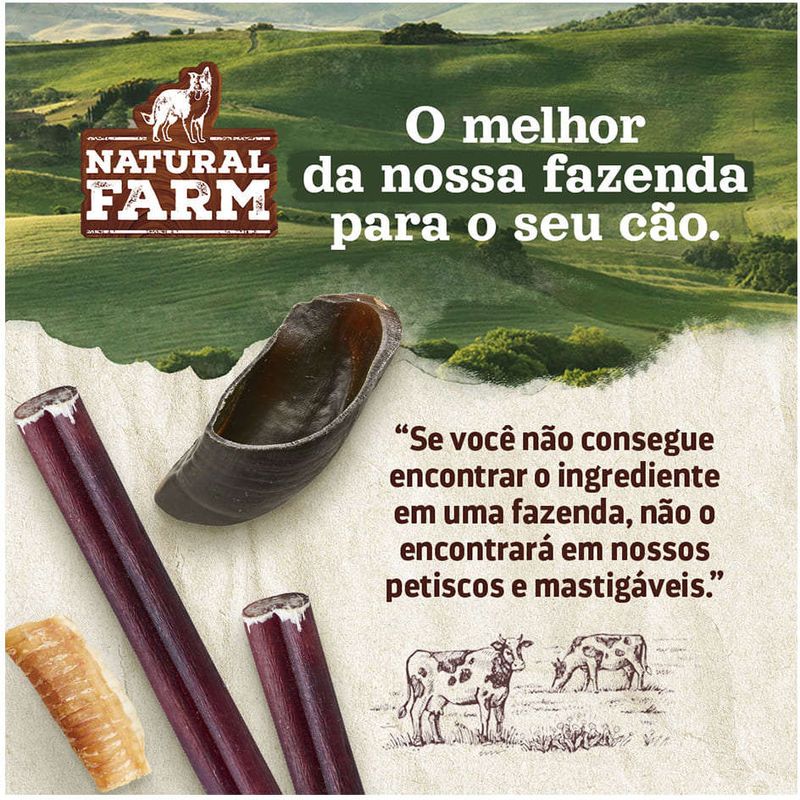 Orelha_Suina_Natural_Farm_para_Caes_-_3_Unidades_2729774_-7-