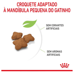 7896181215752---foto-2