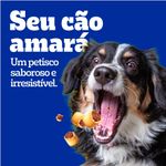 31021182_Biscoito_Pedigree_Marrobone_para_Caes_Adultos_Sabor_Carne_-5-