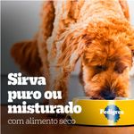 31027516395_Racao_Umida_Pedigree_High_Protein_Sache_Porco_e_Carne_Ao_Molho_para_Caes_Adultos_-_85_g_6