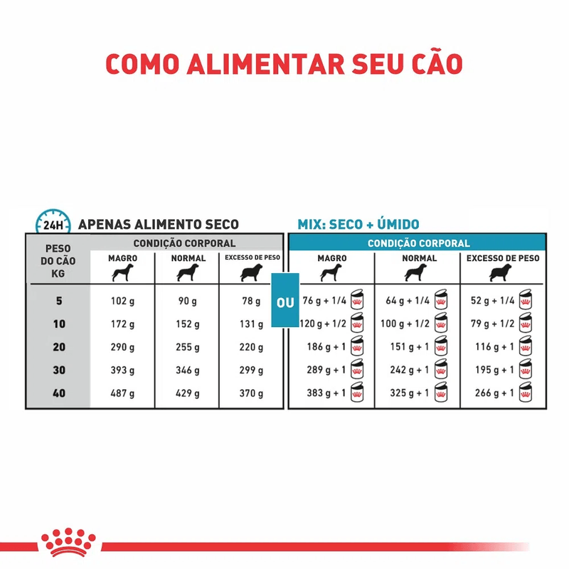 7896181213550---foto-5