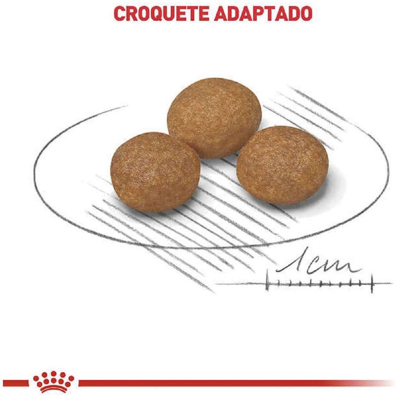 Racao_Seca_Royal_Canin_X-Small_Adult_8__para_Caes_Adultos_e_Idosos_de_Porte_Miniatura_com_8_Anos_ou_mais_-_1_Kg_3100621-1_-3-