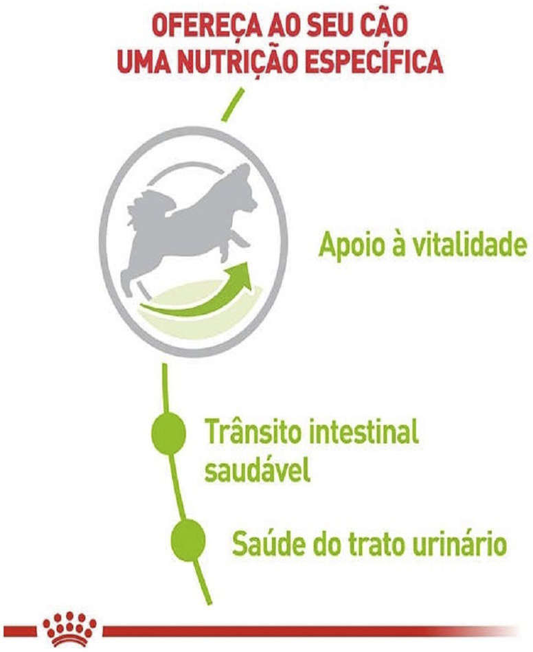 Racao_Seca_Royal_Canin_X-Small_Adult_8__para_Caes_Adultos_e_Idosos_de_Porte_Miniatura_com_8_Anos_ou_mais_-_1_Kg_3100621-1_-2-