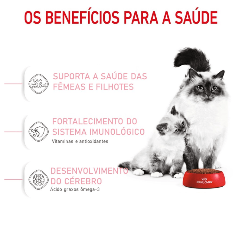 7896181215868---foto-3