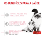 7896181215868---foto-3