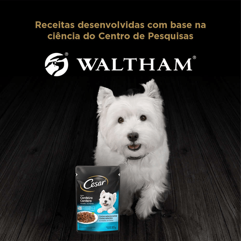 7896029017623---foto-6