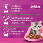 7896029047101---foto-5