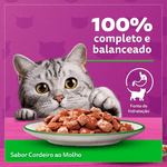 7896029046197---foto-5