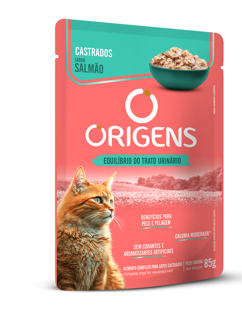 ORIGENS-SACHE-GATOS_SALMAO_FRTDIR