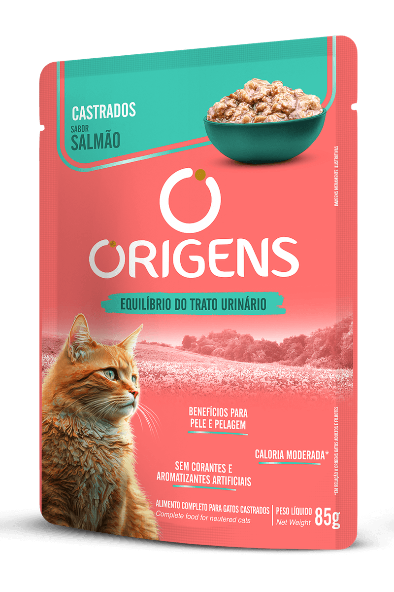 ORIGENS-SACHE-GATOS_SALMAO_FRTESQ
