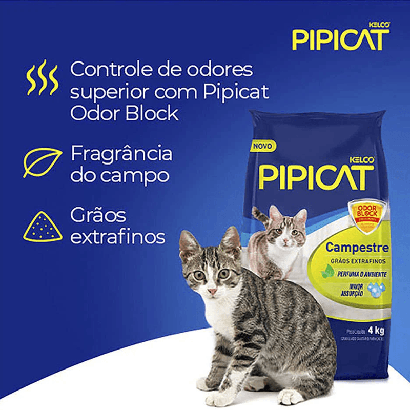 7896273805786---foto-2