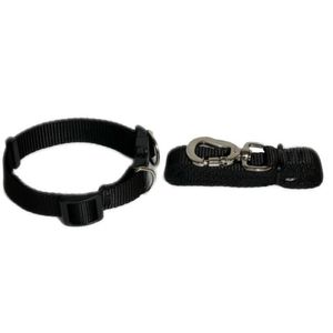 Coleira e Guia Preto M Nylon