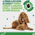 5420036979500---foto-3