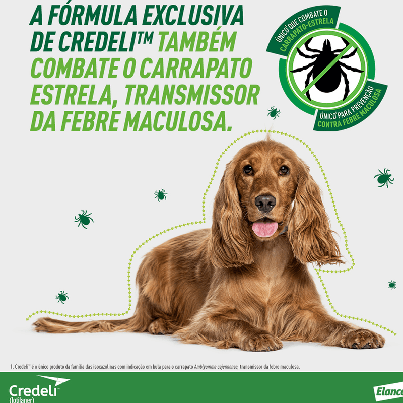 5420036979500---foto-3