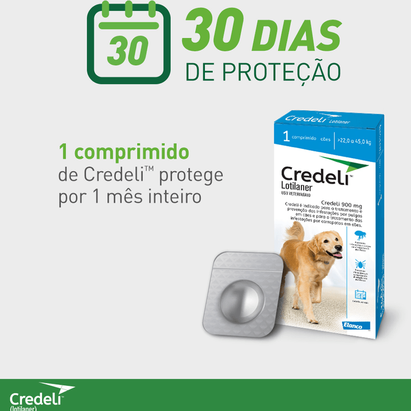 5420036979500---foto-4