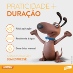 4007221054054---foto-4
