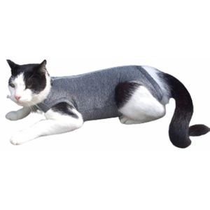 Roupa Gatos Pós Cirúrgica Suplex 1