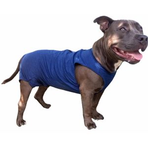 Roupa Cães pós Cirúrgica Suplex Macho Nº02