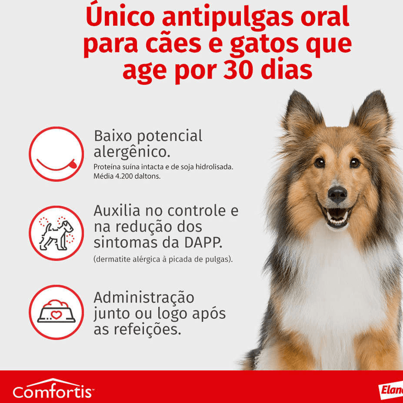 5420036917069---foto-2