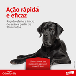 5420036917069---foto-4