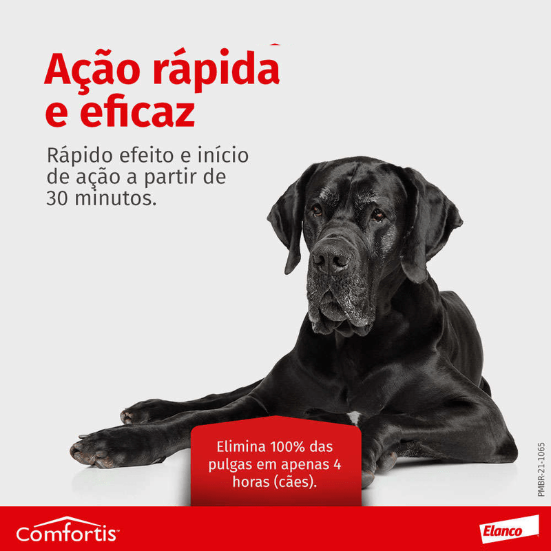 5420036917069---foto-4