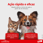 5420036916925-foto---4-