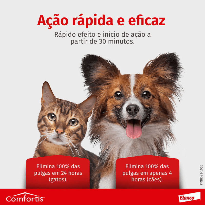 5420036916925-foto---4-