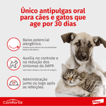 5420036916925-foto---3-